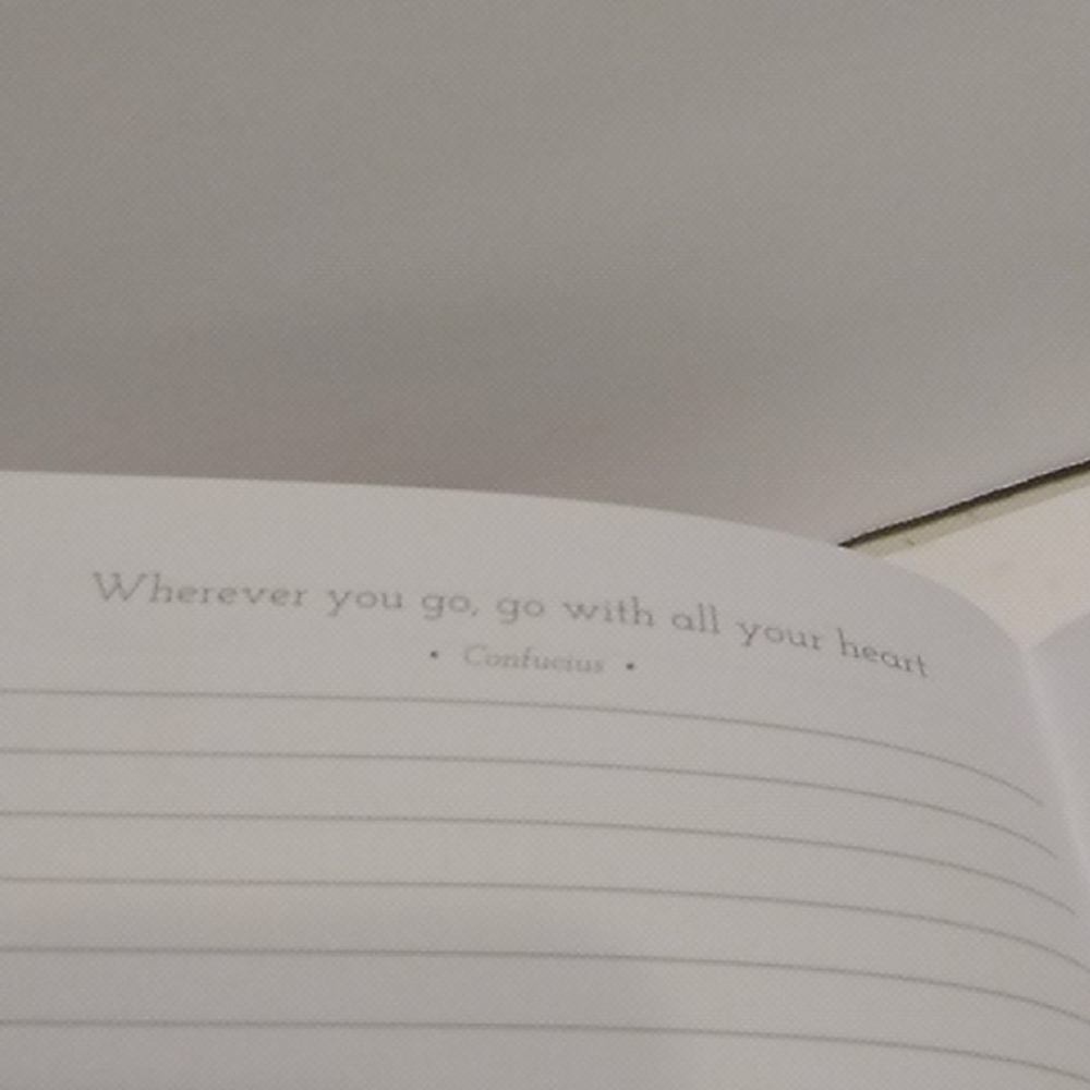 Nwot Journal for Traveling - Picture 5 of 8